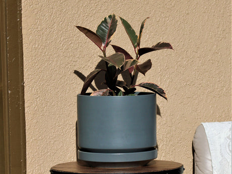 Melrose Modern Planter (LARGE) By Plantatorem
