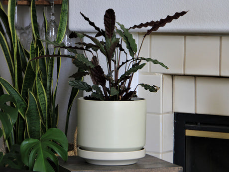 Melrose Modern Planter (LARGE) By Plantatorem