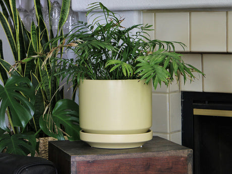 Melrose Modern Planter- 10.0" x 10.5" By Plantatorem