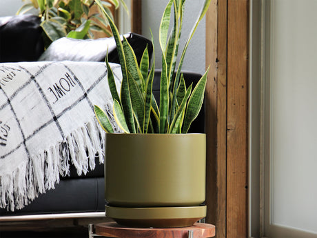 Melrose Modern Planter- 10.0" x 10.5" By Plantatorem