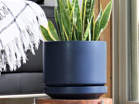 Melrose Modern Planter (LARGE) By Plantatorem