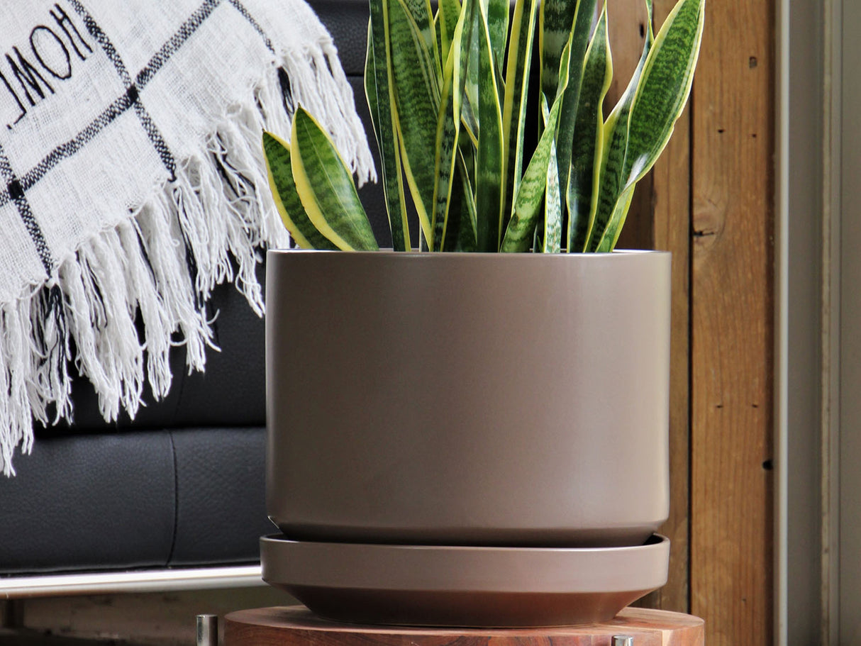 Melrose Modern Planter- 10.0" x 10.5" By Plantatorem