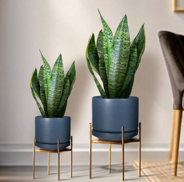 Mid Modern Planter