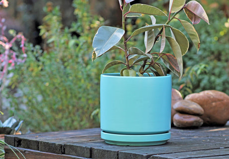 Mid Modern Planter With Detached Saucer "12.0" D x 10.5" H" By Plantatorem