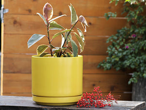 Mid Modern Planter With Detached Saucer "14.0" D x 12.0" H" By Plantatorem