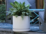 Mid Modern Planter With Detached Saucer "10.0" D x 9.0" H" By Plantatorem