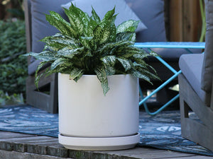 Mid Modern Planter With Detached Saucer "12.0" D x 10.5" H" By Plantatorem