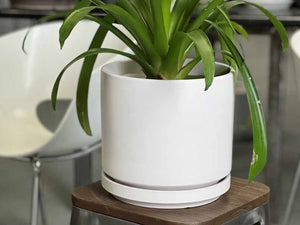 Mid Modern Planter With Detached Saucer "14.0" D x 12.0" H" By Plantatorem