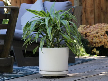 Mid Modern Planter With Detached Saucer By Plantatorem