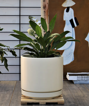Mid Modern Planter With Detached Saucer "12.0" D x 10.5" H" By Plantatorem