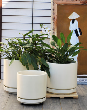 Mid Modern Planter With Detached Saucer "12.0" D x 10.5" H" By Plantatorem