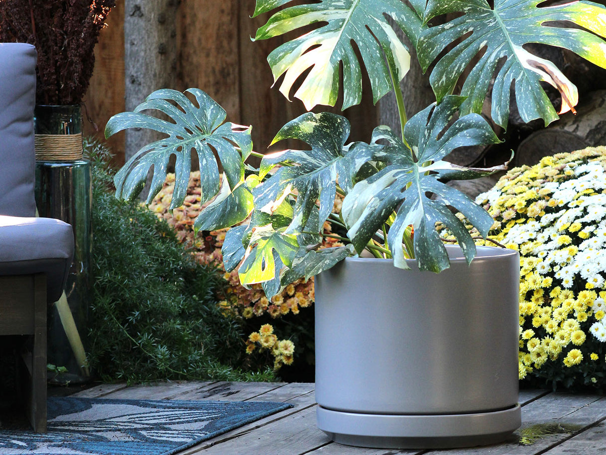 Mid Modern Planter With Detached Saucer "12.0" D x 10.5" H" By Plantatorem