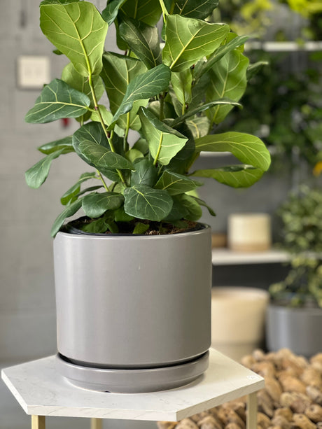 Mid Modern Planter With Detached Saucer "12.0" D x 10.5" H" By Plantatorem
