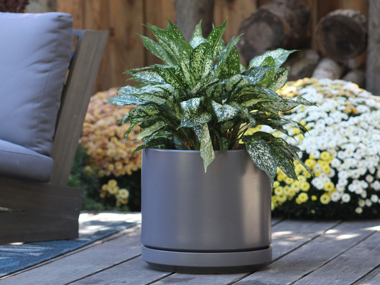 Mid Modern Planter With Detached Saucer "12.0" D x 10.5" H" By Plantatorem