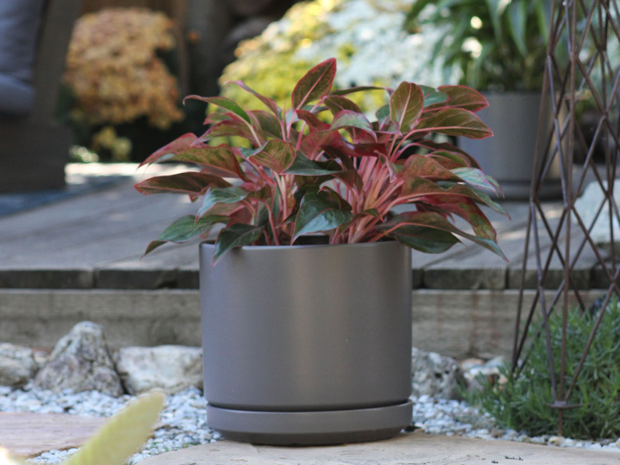 Mid Modern Planter With Detached Saucer "12.0" D x 10.5" H" By Plantatorem