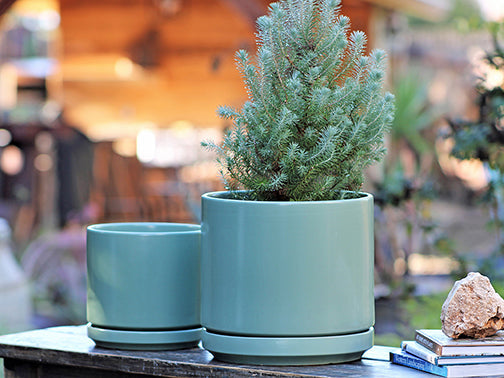 Mid Modern Planter With Detached Saucer "12.0" D x 10.5" H" By Plantatorem