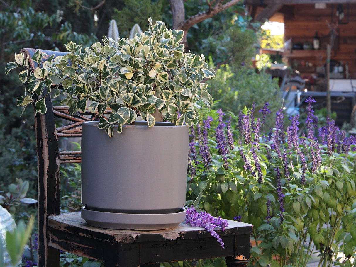 Mid Modern Planter With Detached Saucer "14.0" D x 12.0" H" By Plantatorem