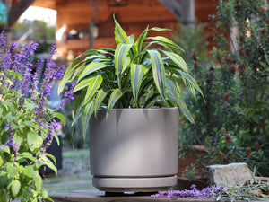 Mid Modern Planter With Detached Saucer "14.0" D x 12.0" H" By Plantatorem