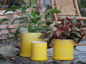 Cylinder Ombre Planter By Plantatorem