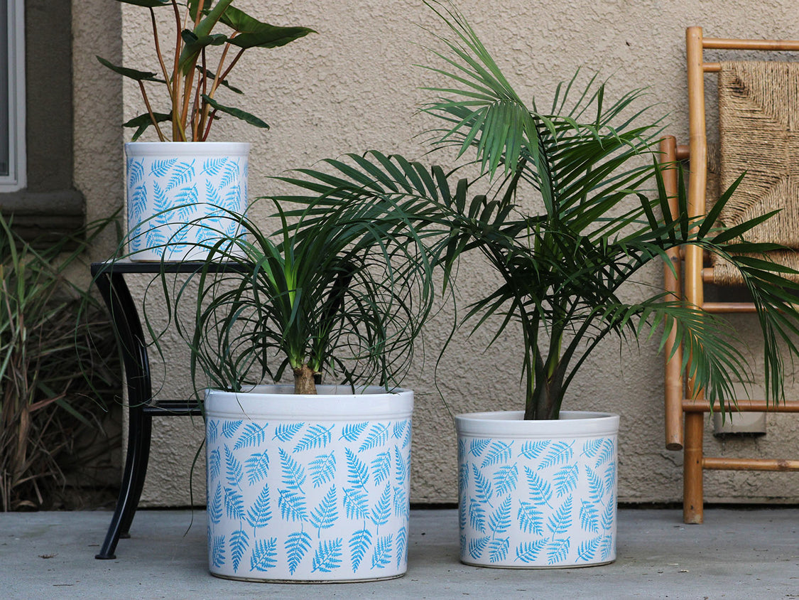 Fern Planters Fern Planters