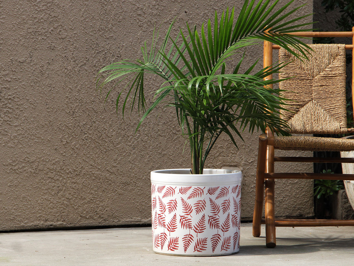 Fern Planters By Plantatorem