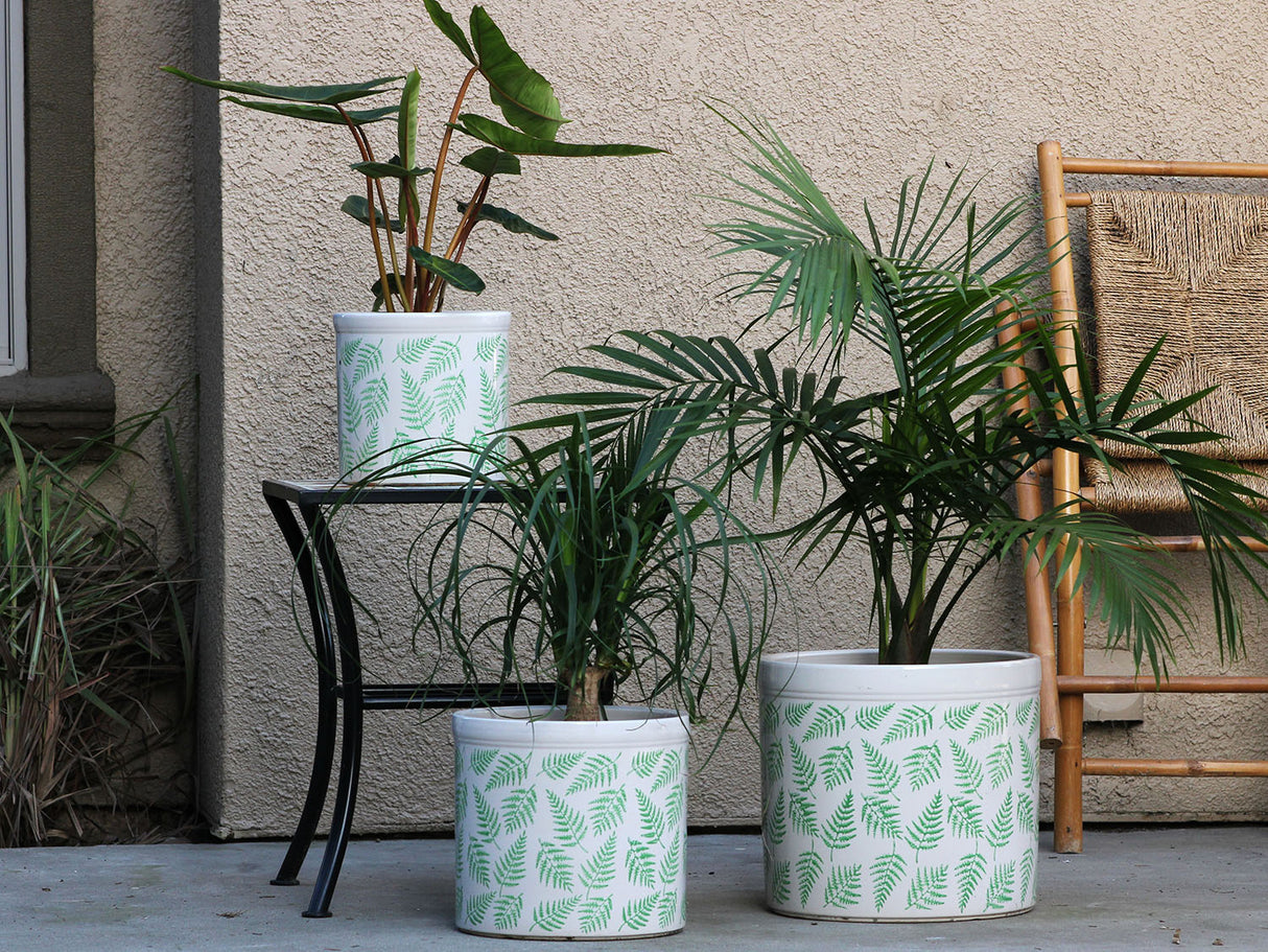 Fern Planters By Plantatorem