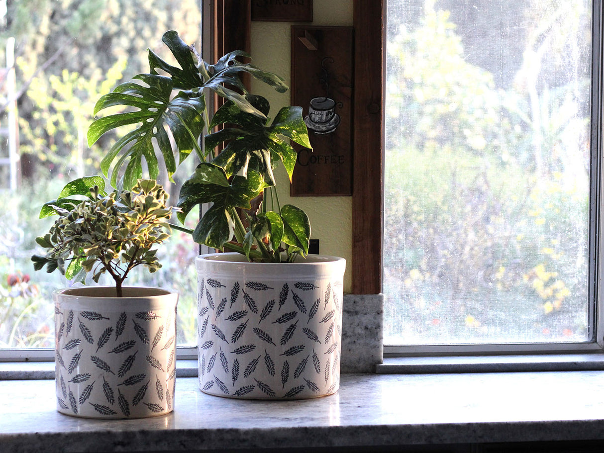 Crock Jar Planter By Plantatorem