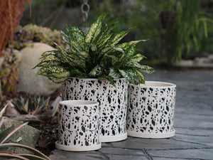 Cylinder Floral Stamped Planter By Plantatorem