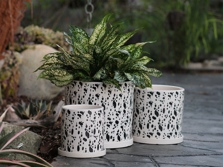 Cylinder Floral Stamped Planter By Plantatorem