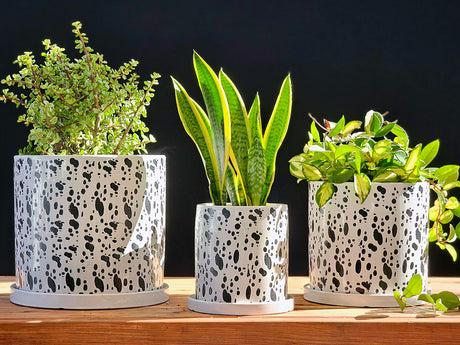 Cylinder Floral Stamped Planter