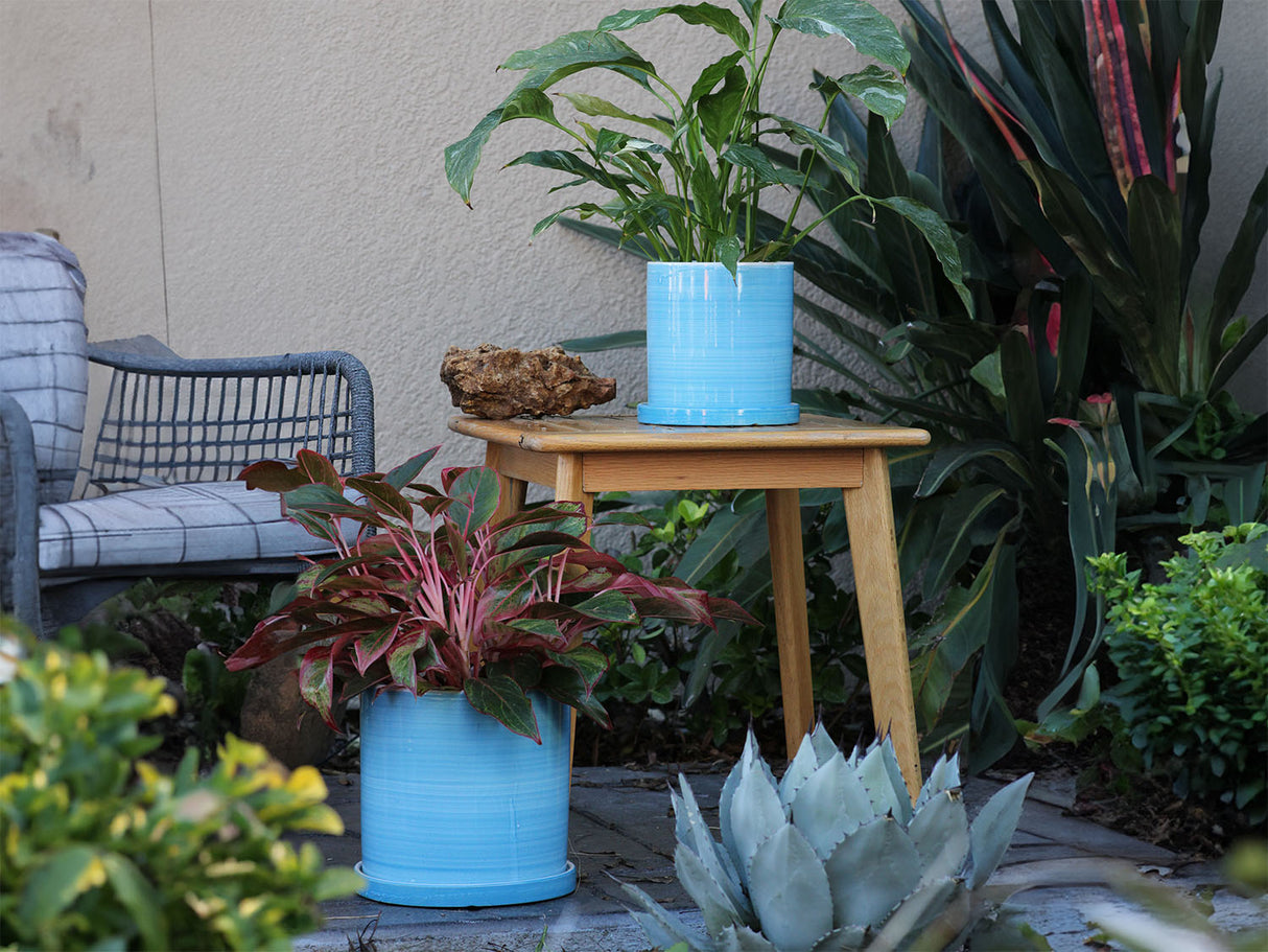 Cylinder Ombre Planter By Plantatorem