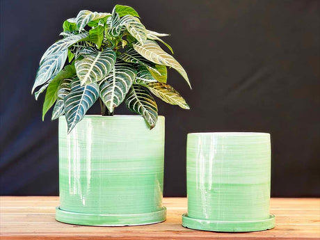 Cylinder Ombre Planter By Plantatorem
