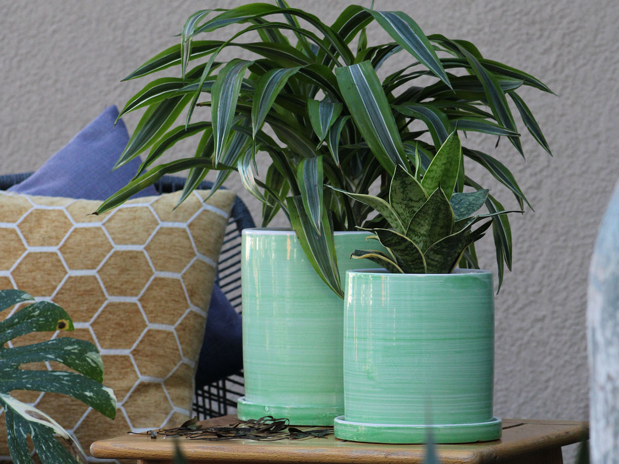 Cylinder Ombre Planter By Plantatorem