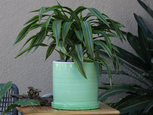 Cylinder Ombre Planter By Plantatorem