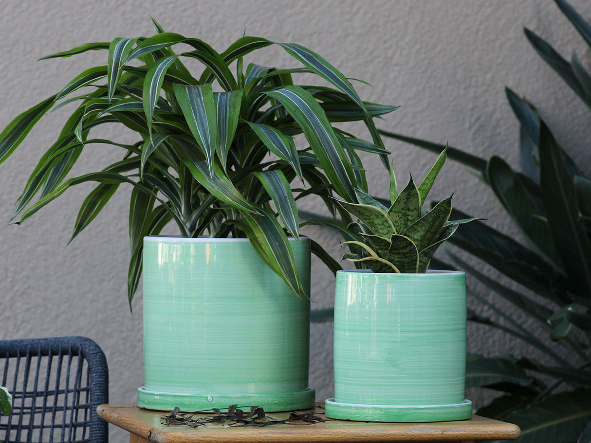 Cylinder Ombre Planter By Plantatorem