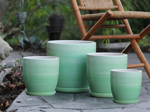 Daffodil Planter By Plantatorem