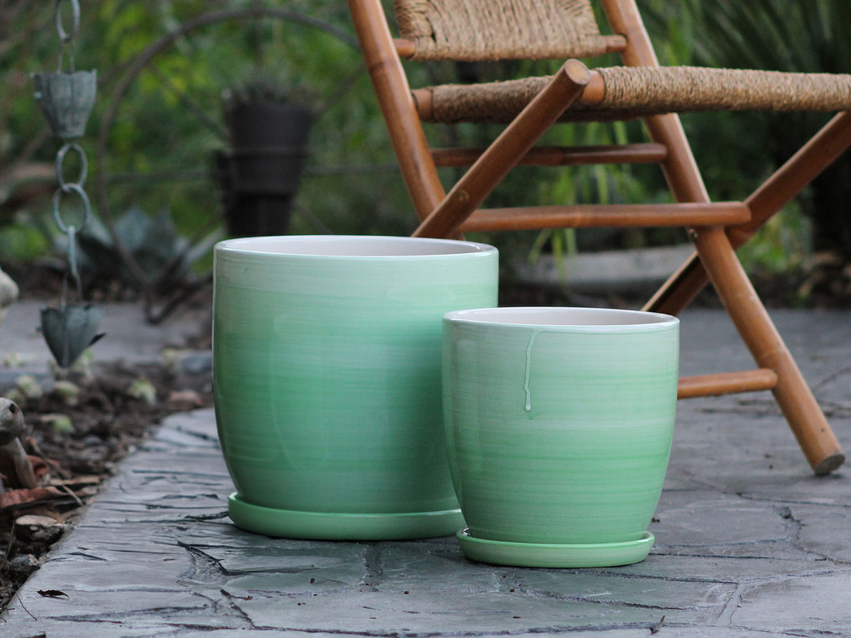 Daffodil Planter By Plantatorem