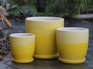 Daffodil Planter By Plantatorem