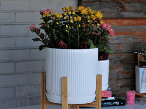 Fluted Cylinder Planter With Attached Saucer