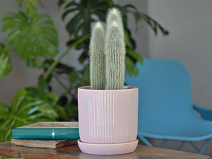Fluted Cylinder Planter With Attached Saucer