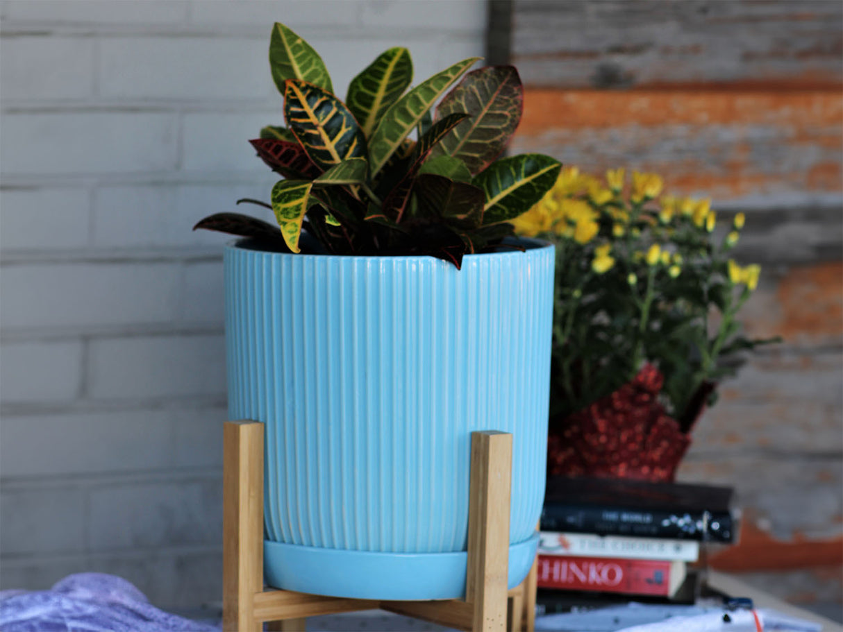 Fluted Cylinder Planter With Attached Saucer