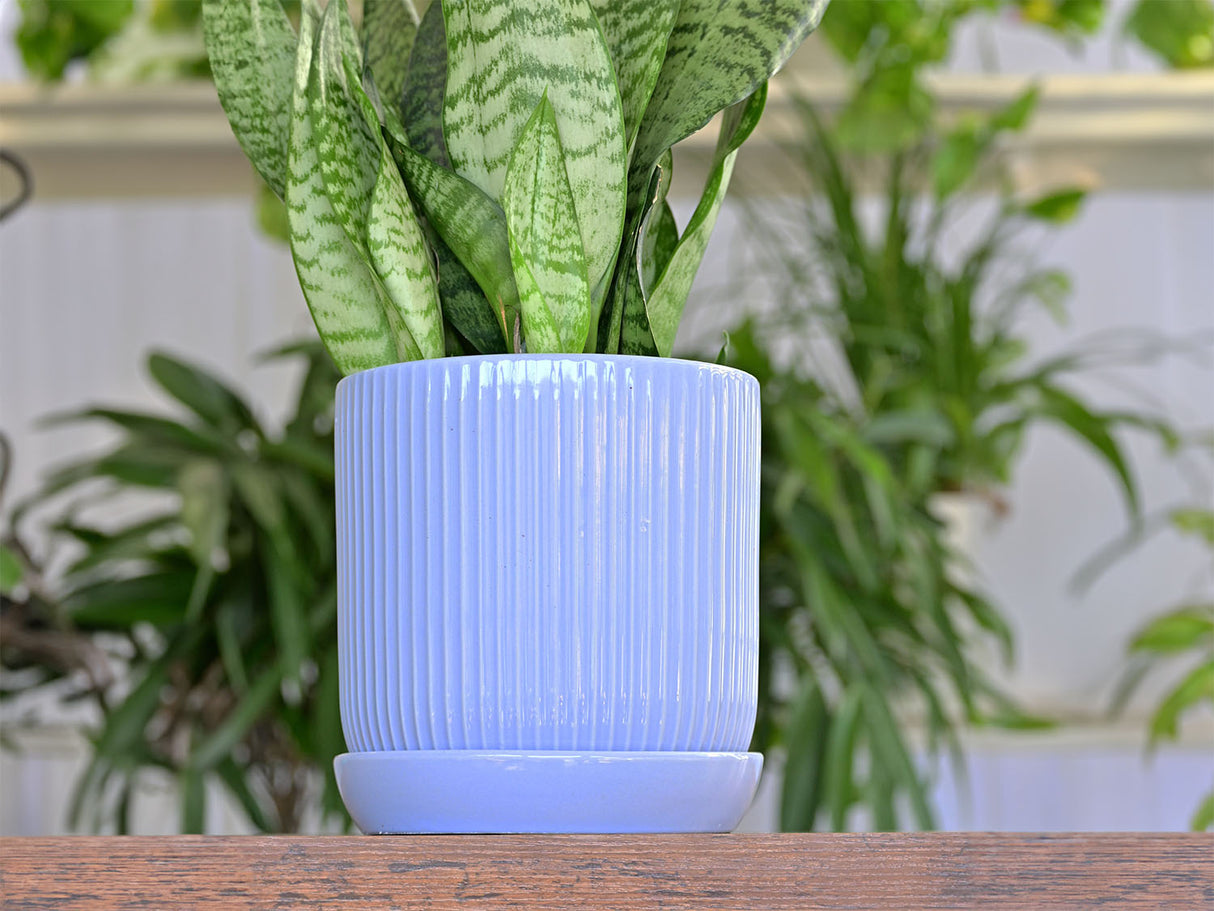 Fluted Cylinder Planter With Attached Saucer