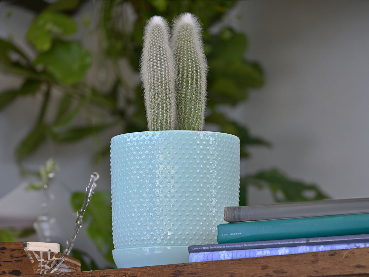 Fluted Cylinder Planter With Attached Saucer