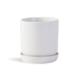 Dotted Cylinder Planter With Attached Saucer