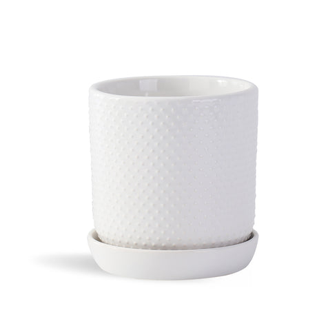 Dotted Cylinder Planter With Attached Saucer