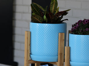 Dotted Cylinder Planter With Attached Saucer