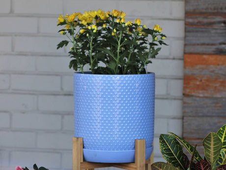 Dotted Cylinder Planter With Attached Saucer