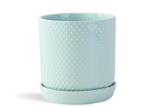 Dotted Cylinder Planter With Attached Saucer