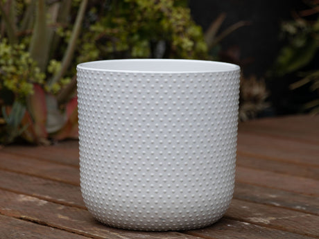 Dotted Cylinder Planter (No Saucer)