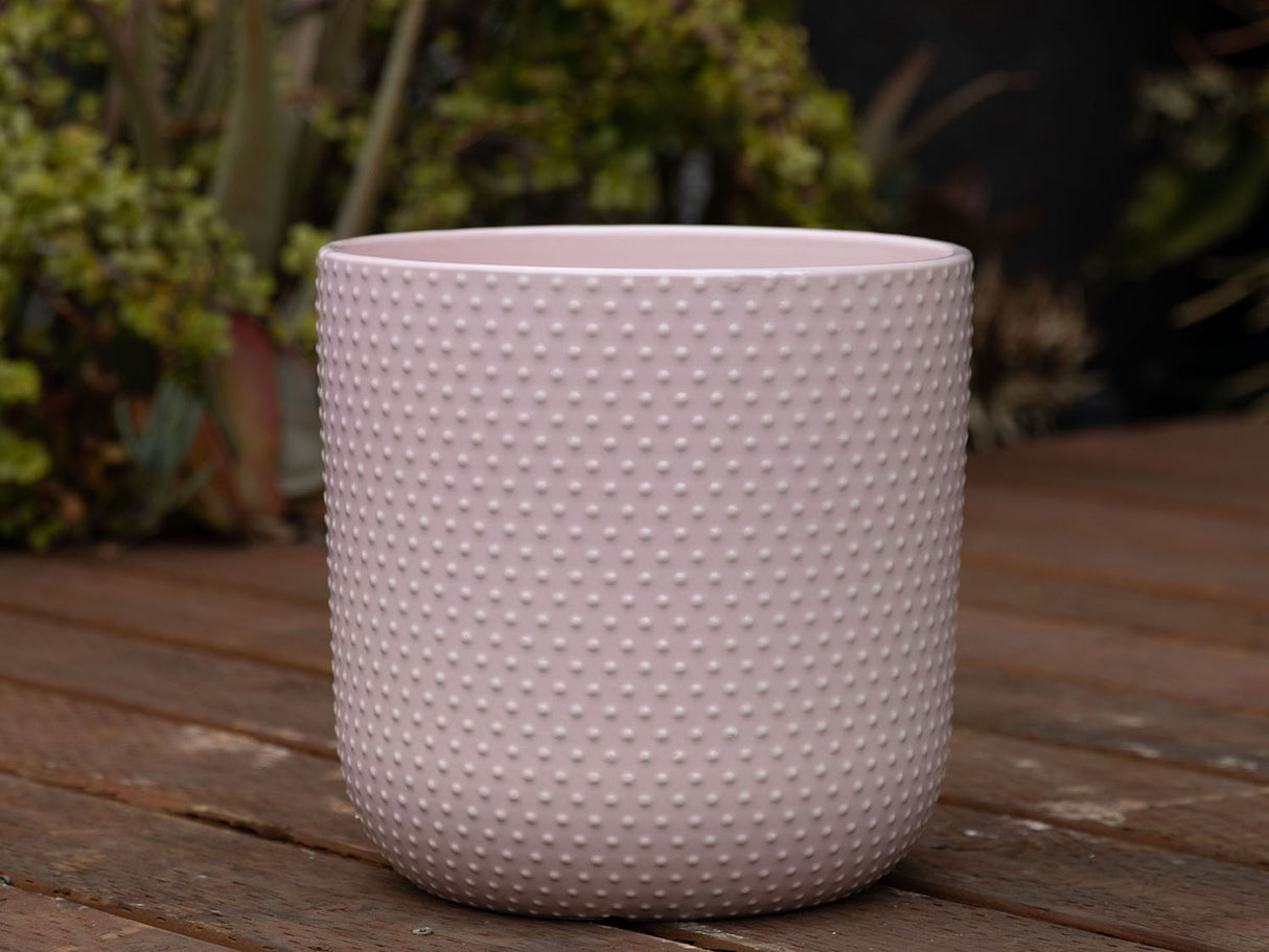 Dotted Cylinder Planter (No Saucer)